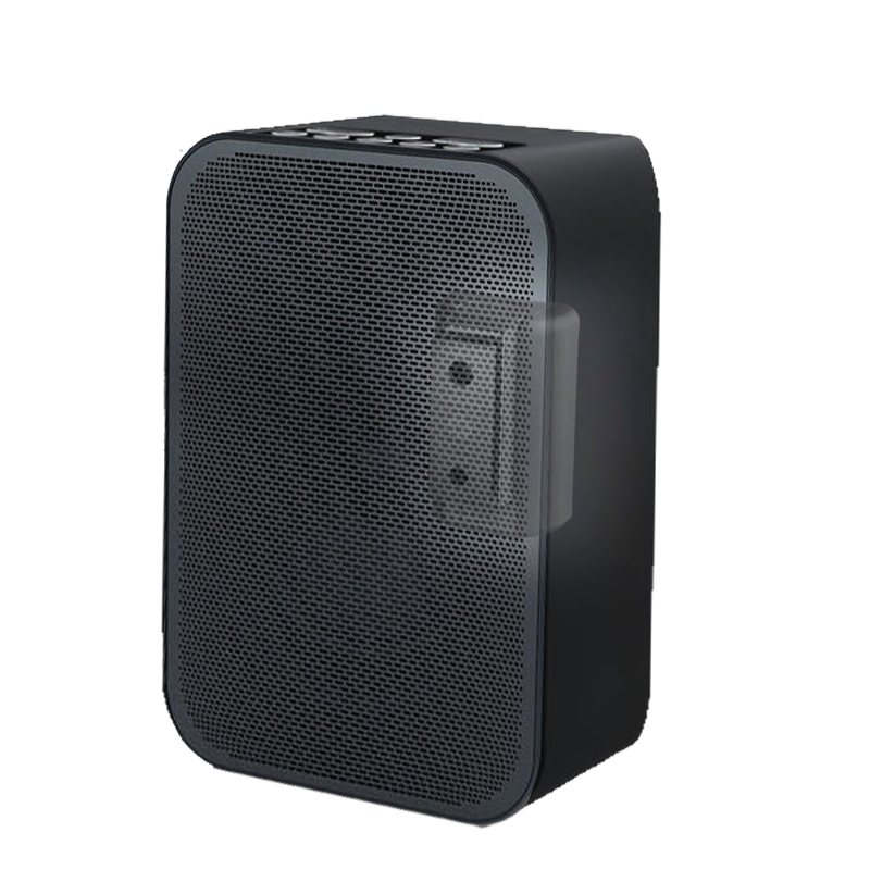 Zwarte muursteun voor Bluesound Pulse Flex