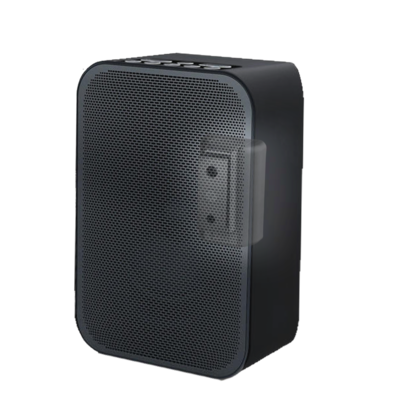 Cavus zwarte muursteun voor Bluesound Pulse Flex